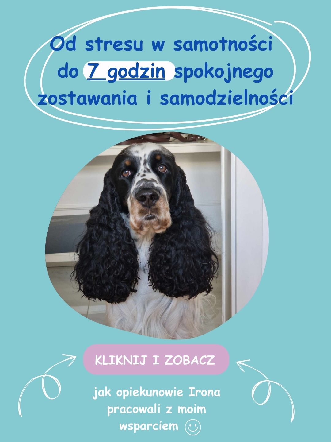 Iron — pies, który nauczył się spokojnie zostawać sam w domu przez 7 godzin