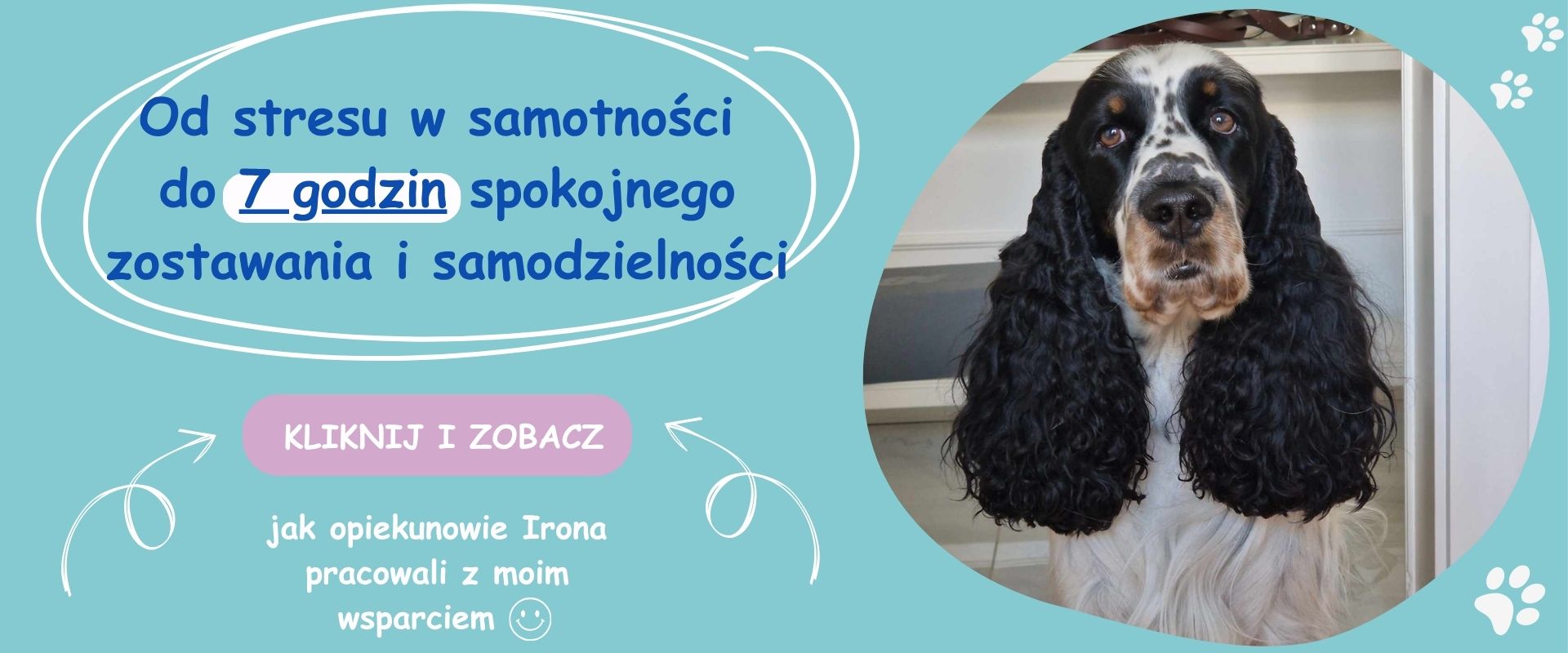 Iron — pies, który nauczył się spokojnie zostawać sam w domu przez 7 godzin