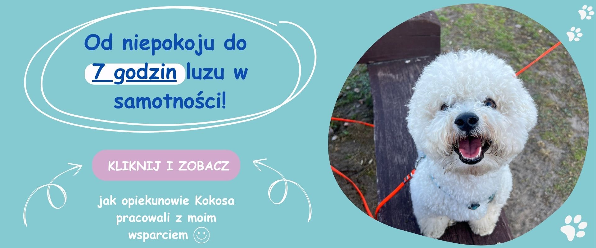 Kokos odpoczywający podczas samotnego pobytu w domu po terapii separacyjnej