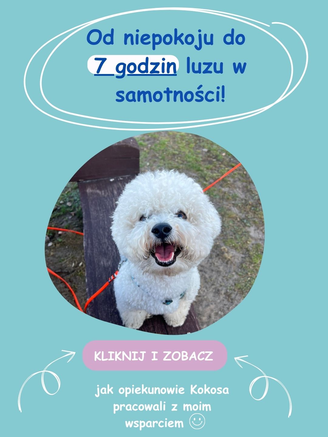 Kokos odpoczywający podczas samotnego pobytu w domu po terapii separacyjnej