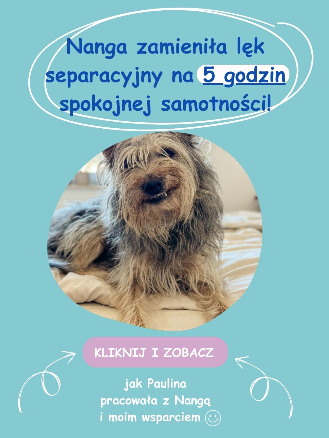Nanga odpoczywa spokojnie w domu – rezultaty terapii lęku separacyjnego u psa