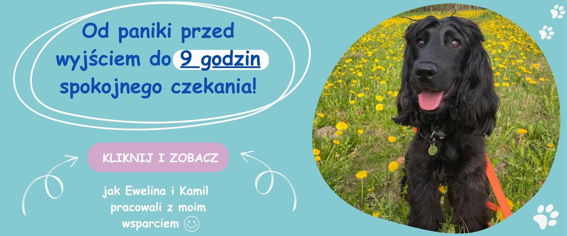 Nanga odpoczywa spokojnie w domu – rezultaty terapii lęku separacyjnego u psa