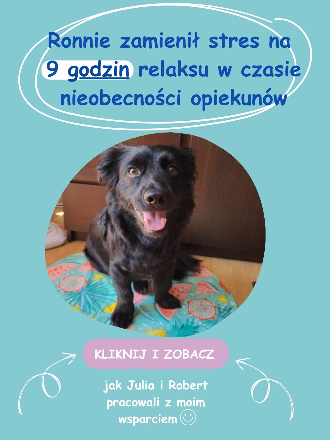 Ronnie zrelaksowany w domu po terapii – pies radzi sobie z samotnością bez stresu
