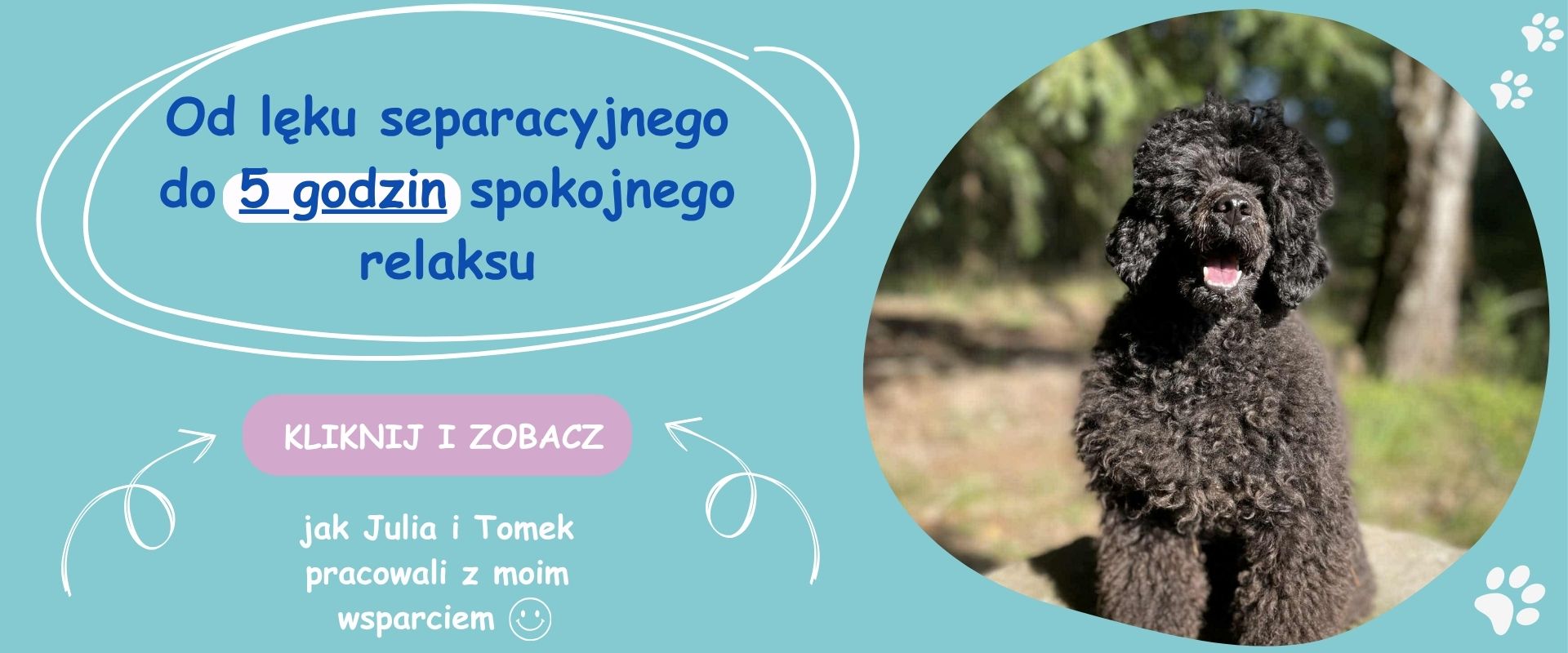 Bettina - suczka, która radzi sobie z samotnością podczas nieobecności opiekunów