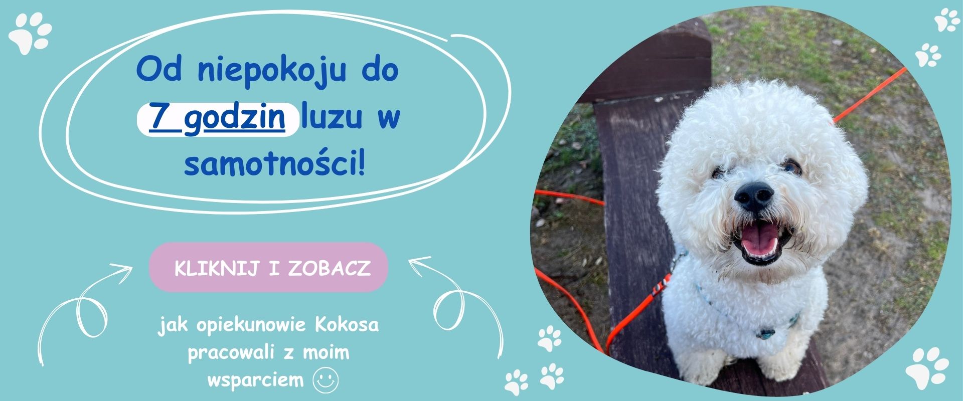 Kokos odpoczywający podczas samotnego pobytu w domu po terapii separacyjnej