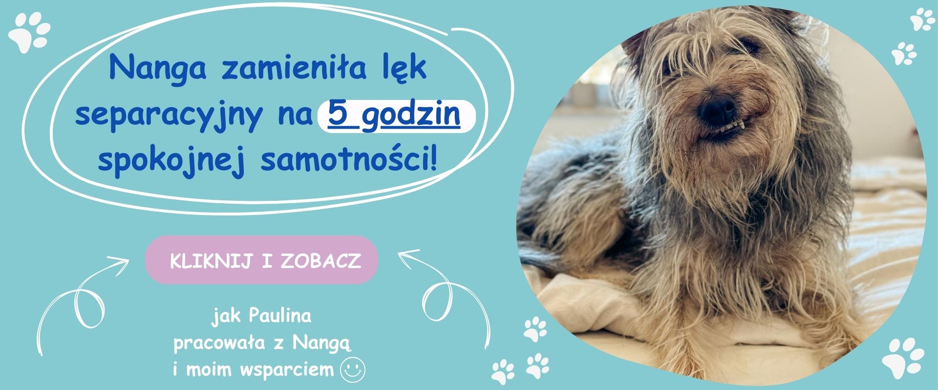 Nanga odpoczywa spokojnie w domu – rezultaty terapii lęku separacyjnego u psa