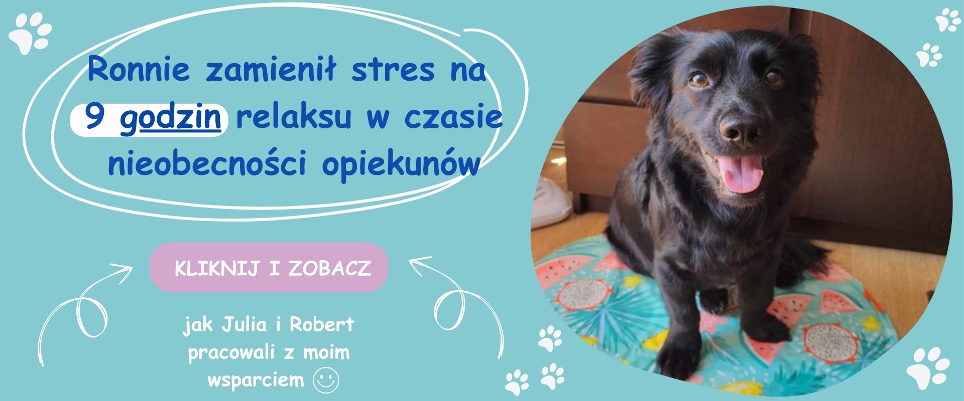Ronnie zrelaksowany w domu po terapii – pies radzi sobie z samotnością bez stresu