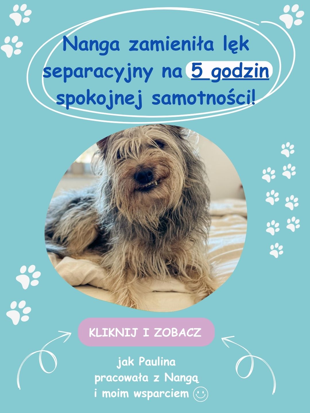 Nanga odpoczywa spokojnie w domu – rezultaty terapii lęku separacyjnego u psa