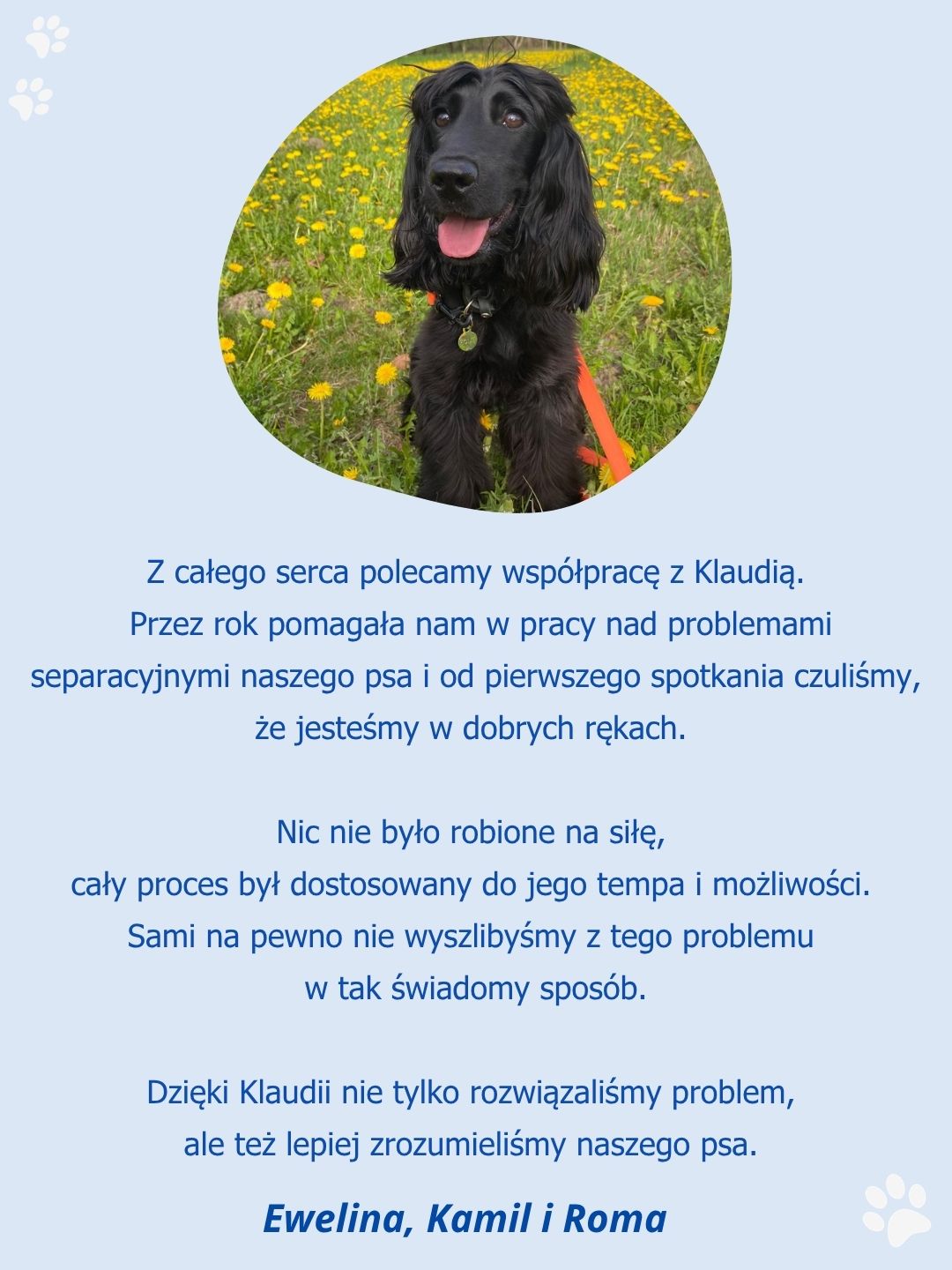 Relacja opiekuna psa po rozpoczęciu pracy nad lękiem separacyjnym