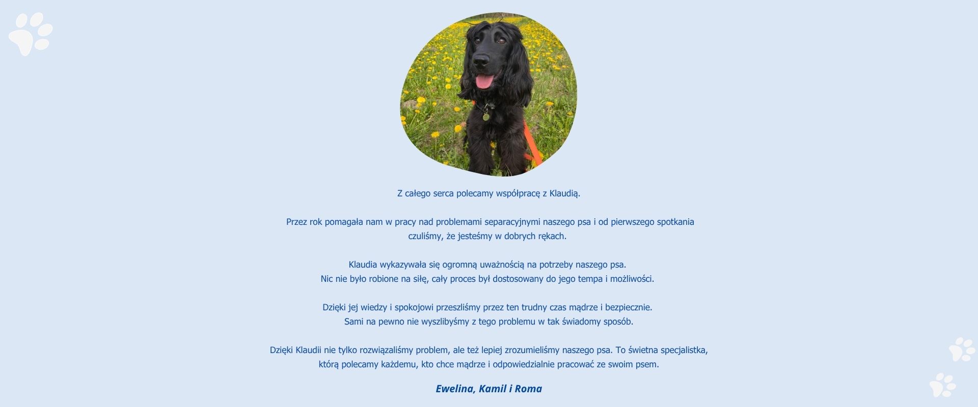 Relacja opiekuna psa po rozpoczęciu pracy nad lękiem separacyjnym