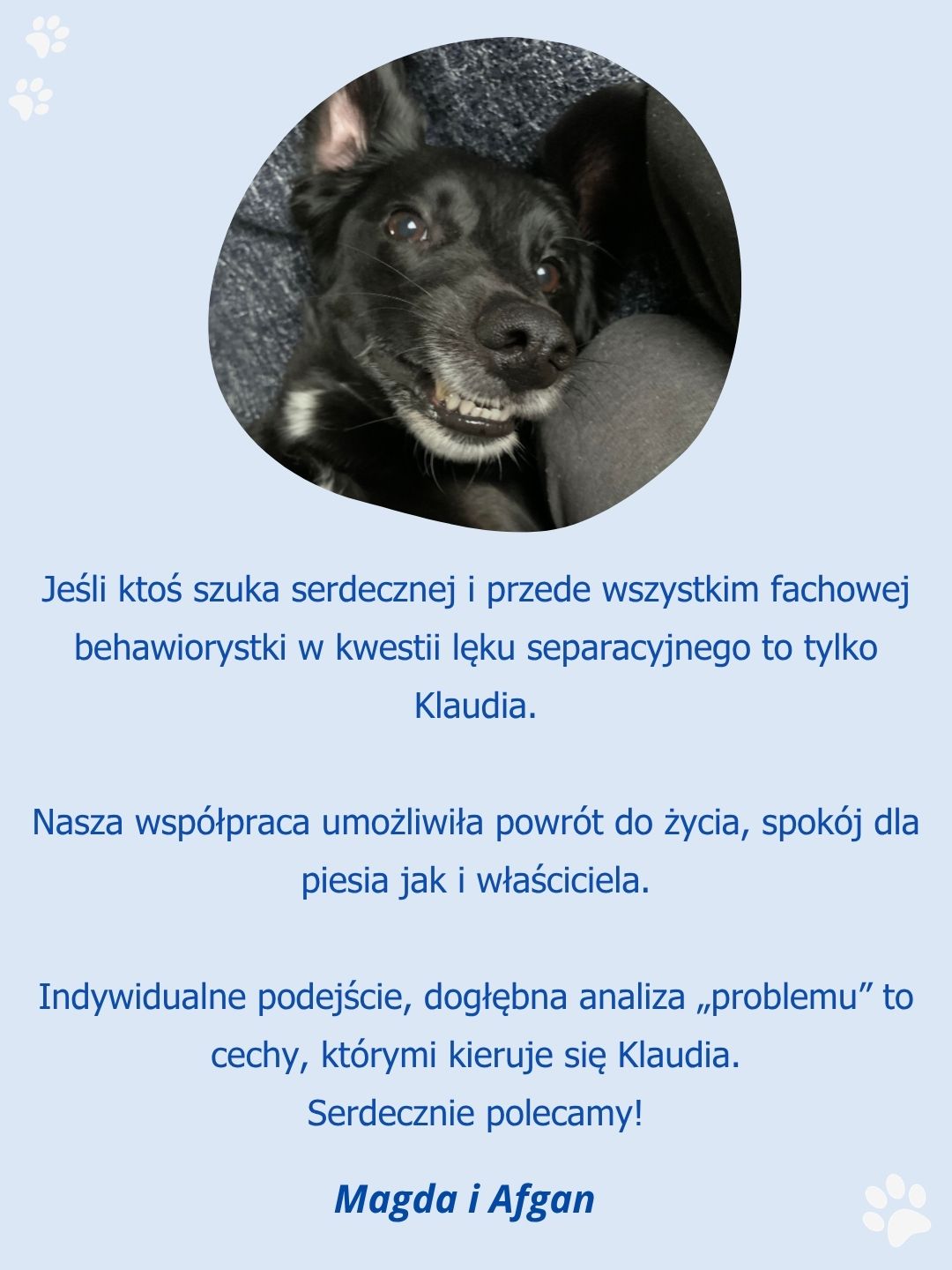 Opinia klienta po pracy z psem mającym trudność z zostawaniem samemu