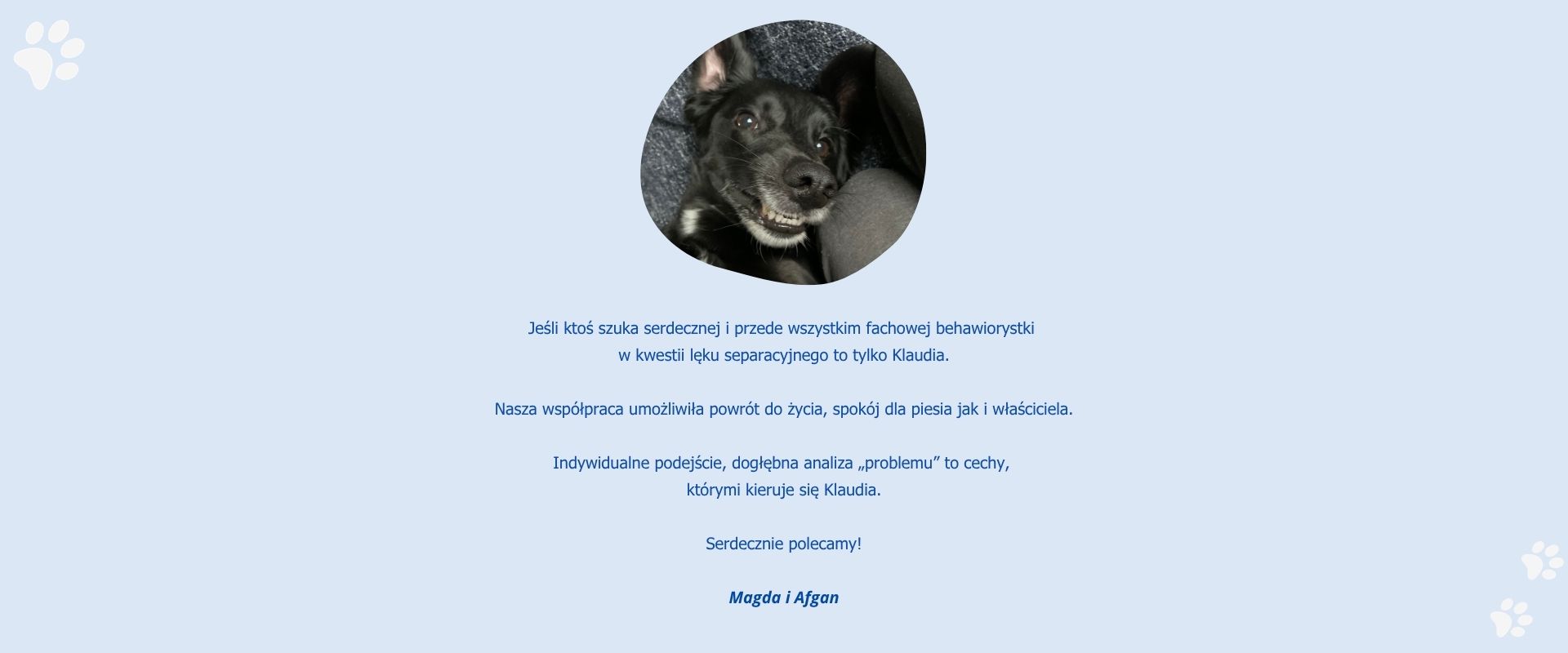 Opinia klienta po pracy z psem mającym trudność z zostawaniem samemu