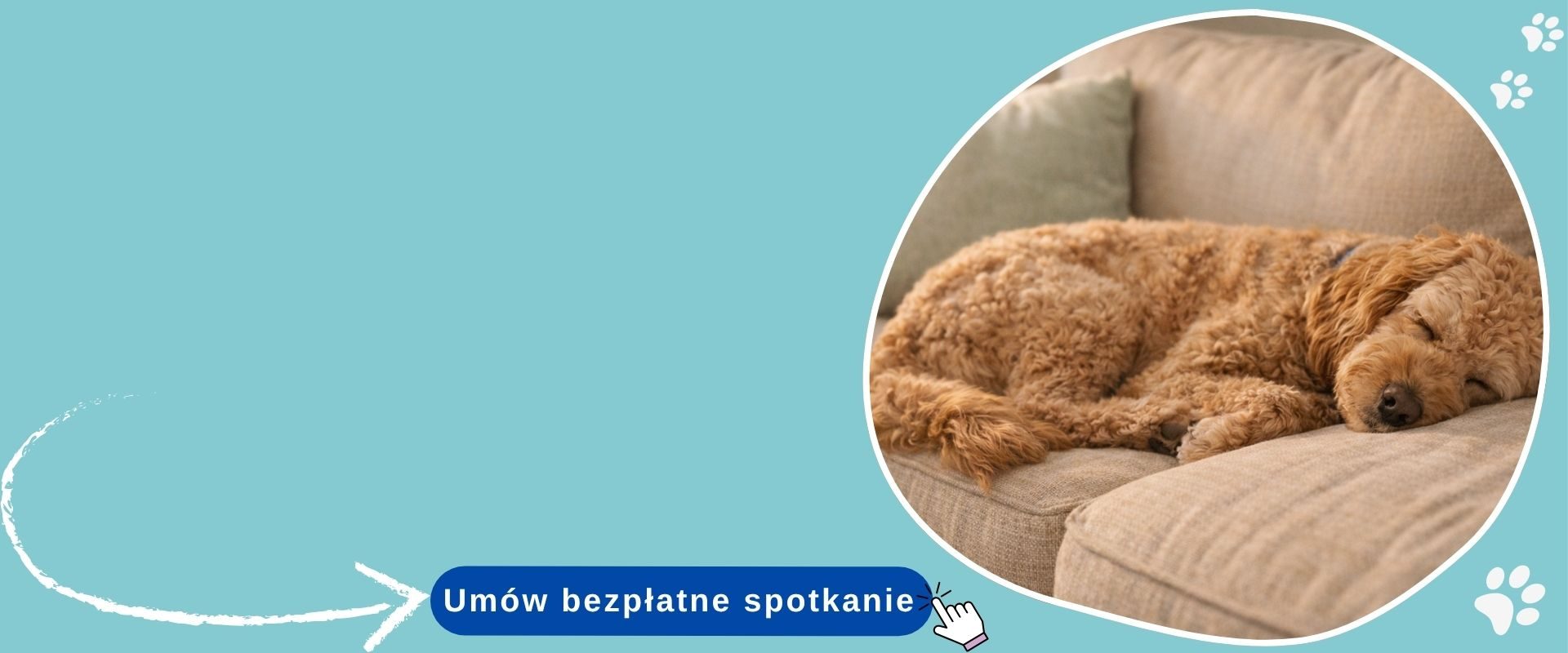 Spokojny pies śpiący sam w domu podczas nieobecności opiekuna