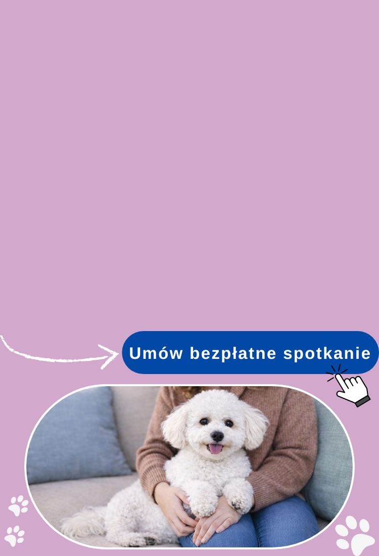 Pies siedzący na kolanach opiekunki w spokojnej sytuacji